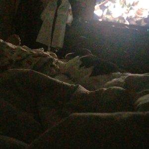 Meet your Posher, Aimee